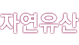 ڿ